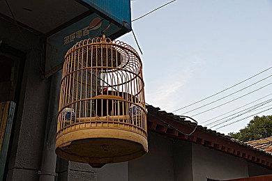 加入可爱治愈手帐模拟器《小小贴纸铺：百日草夏令营》的夏日乐趣，最新DLC将于8.15推出